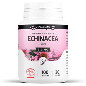 SPN Echinacea Ecocert 210 mg gelules