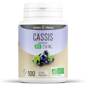 Herbes et Plantes Cassis Bio 250 mg Gelules vegetales