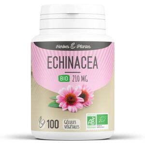 Herbes et Plantes Echinacea Bio 210 mg Gelules vegetales