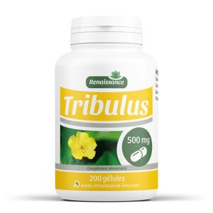 Renaissance Bio Tribulus Terrestris 500 mg 200 gelules