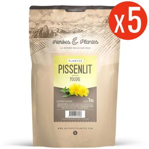 123gelules Pissenlit - Poudre 5 kg