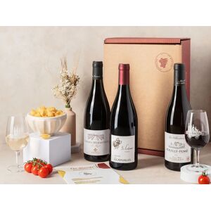 Smartbox Coffret Pépites de vignerons : 3 grands vins et livret de dégustation Coffret cadeau Smartbox