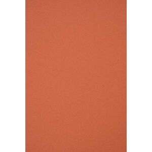 Netuno 10x papier rouge brique Materica Terra Rossa 120g A5 148x210 mm papier de bricolage papier coloré éco papier recyclé papier décoratif pour bricolage origami cartes de vœux quilling décoration - Publicité Netuno 10x papier rouge brique Materica Terra Rossa 120g A5 148x210 mm papier de bricolage papier coloré éco papier recyclé papier décoratif pour bricolage origami cartes de vœux quilling décoration - Publicité