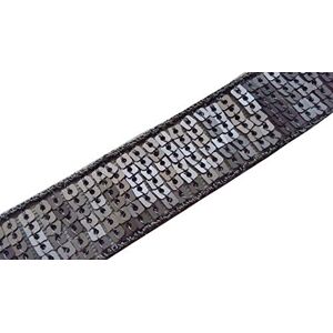 ILC MERCERIE PARADIS Ruban Galon Bande Paillettes Sequins GRIS MAT Au Mètre Largeur 24 mm 6 Rangs de Sequins (gris mat) - Publicité ILC MERCERIE PARADIS Ruban Galon Bande Paillettes Sequins GRIS MAT Au Mètre Largeur 24 mm 6 Rangs de Sequins (gris mat) - Publicité