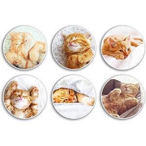 DV DESIGN Lot de 6 autocollants en vinyle motif chat roux de 10 cm – Animaux animaux de compagnie duveteux chaton endormi garçons filles enfants scrapbooking maison cadeau #78992 - Publicité DV DESIGN Lot de 6 autocollants en vinyle motif chat roux de 10 cm – Animaux animaux de compagnie duveteux chaton endormi garçons filles enfants scrapbooking maison cadeau #78992 - Publicité