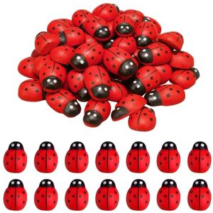 Ztolbriy 100 Pièces Coccinelles en Bois 10x7mm – Autocollants Porte-Bonheur Décoration Naturelle pour Bricolage Pour Jardin & Maison - Publicité Ztolbriy 100 Pièces Coccinelles en Bois 10x7mm – Autocollants Porte-Bonheur Décoration Naturelle pour Bricolage Pour Jardin & Maison - Publicité