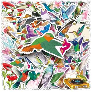 Bric Dodo Lot de 50 autocollants colibri pour ordinateur portable, voiture, scrapbooking, téléphone, skateboard, valise, vélo, vélo, imperméable, esthétique, personnalisable, pour adolescents, garçons, filles, - Publicité Bric Dodo Lot de 50 autocollants colibri pour ordinateur portable, voiture, scrapbooking, téléphone, skateboard, valise, vélo, vélo, imperméable, esthétique, personnalisable, pour adolescents, garçons, filles, - Publicité