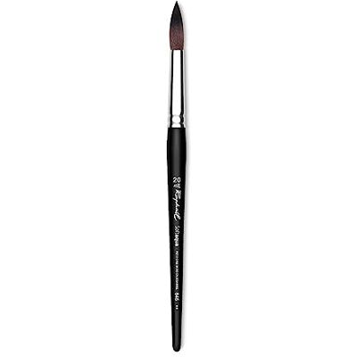 Raphael Soft Aqua Brushes Rounds Size 20 by Brush - Publicité Raphael Soft Aqua Brushes Rounds Size 20 by Brush - Publicité