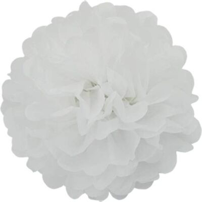 Creativery Lot de 10 pompons en papier de 20 cm (blanc 029) Pompon en papier de soie Décoration à suspendre - Publicité Creativery Lot de 10 pompons en papier de 20 cm (blanc 029) Pompon en papier de soie Décoration à suspendre - Publicité