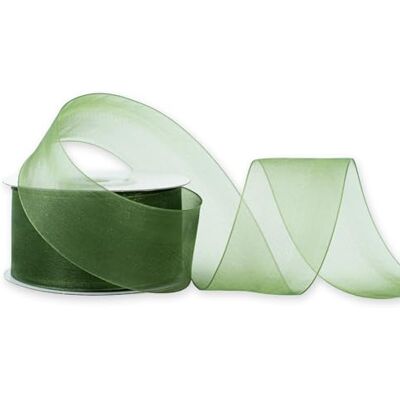 Creativery Ruban en organza 38 mm x 25 m Choix de couleurs 3/6/12/25/38 mm Transparent, résistant aux couleurs et lavable Ruban pour mariage, emballage cadeau, décoration, bricolage Vert olive 563D - Publicité Creativery Ruban en organza 38 mm x 25 m Choix de couleurs 3/6/12/25/38 mm Transparent, résistant aux couleurs et lavable Ruban pour mariage, emballage cadeau, décoration, bricolage Vert olive 563D - Publicité