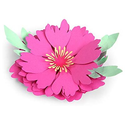 Ensemble de matrices de découpe Sizzix Thinlits 5 pièces pivoine - Outils de bricolage - Publicité Ensemble de matrices de découpe Sizzix Thinlits 5 pièces pivoine - Outils de bricolage - Publicité