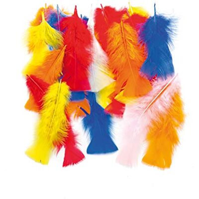 Baker Ross Lot de Longues Plumes Colorées Idéal pour la décoration de Costumes et de Chapeaux AF391 - Publicité Baker Ross Lot de Longues Plumes Colorées Idéal pour la décoration de Costumes et de Chapeaux AF391 - Publicité