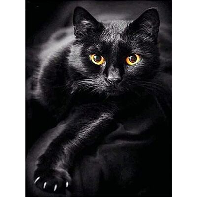 Pracht Creatives Hobby Diamond Painting Set, Tableau avec Motif Chat Noir et Accessoires, Set de Bricolage pour Peindre avec des Petites Pierres Scintillantes pour Les Enfants à partir de 5 Ans - Publicité Pracht Creatives Hobby Diamond Painting Set, Tableau avec Motif Chat Noir et Accessoires, Set de Bricolage pour Peindre avec des Petites Pierres Scintillantes pour Les Enfants à partir de 5 Ans - Publicité