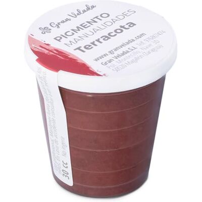 GRAN VELADA Pigment terre cuite pour travaux manuels Poudre micronisée insoluble dans les liquides communs, couleurs vives et intenses, économique et facile à utiliser, idéal pour peintures et créations DIY - Publicité GRAN VELADA Pigment terre cuite pour travaux manuels Poudre micronisée insoluble dans les liquides communs, couleurs vives et intenses, économique et facile à utiliser, idéal pour peintures et créations DIY - Publicité