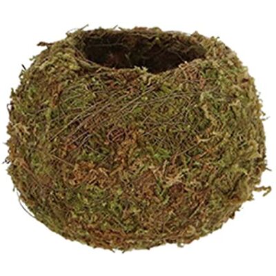 Esschert Design Kokedama Boule de Mousse 9 cm - Publicité Esschert Design Kokedama Boule de Mousse 9 cm - Publicité