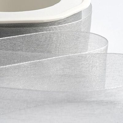 Italian Options Rouleau de ruban en mousseline d'organza, 38 mm x 20 m, argenté - Publicité Italian Options Rouleau de ruban en mousseline d'organza, 38 mm x 20 m, argenté - Publicité