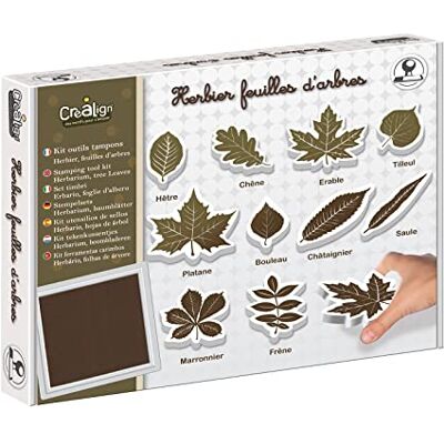 Crea lign' Créa Lign' Kit outils tampons Herbier, feuilles d'arbres, marron - Publicité Crea lign' Créa Lign' Kit outils tampons Herbier, feuilles d'arbres, marron - Publicité