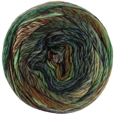 Lana Grossa Colorissimo Fil à mèche mérinos coloré Fil à tricoter à la main en 100 % laine vierge (mérinos extra fin) 100 g de laine pour tricot et crochet 300 m 216 FB 216 - Publicité Lana Grossa Colorissimo Fil à mèche mérinos coloré Fil à tricoter à la main en 100 % laine vierge (mérinos extra fin) 100 g de laine pour tricot et crochet 300 m 216 FB 216 - Publicité
