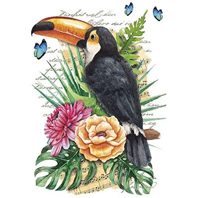 ideen mit herz Transfert de repassage coloré DIN A4 Pour décorer les textiles tels que les t-shirts et les sacs avec motifs à repasser Images de transfert DIY textiles (toucan) - Publicité ideen mit herz Transfert de repassage coloré DIN A4 Pour décorer les textiles tels que les t-shirts et les sacs avec motifs à repasser Images de transfert DIY textiles (toucan) - Publicité