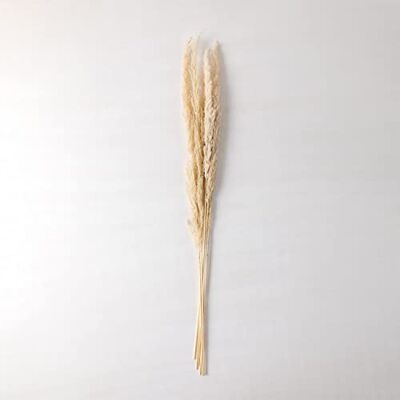 SKLUM Lot de 6 Branches séchées décoratives Megina Beige Crème - Publicité SKLUM Lot de 6 Branches séchées décoratives Megina Beige Crème - Publicité