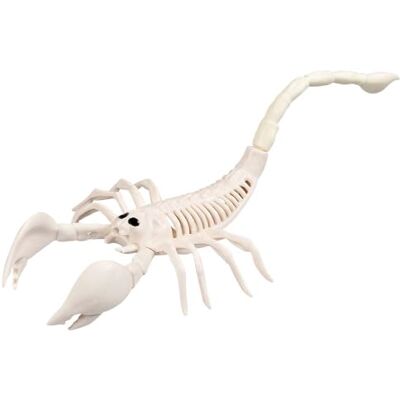 Boland Squelette de scorpion - Décoration Halloween - Thème effrayant - Publicité Boland Squelette de scorpion - Décoration Halloween - Thème effrayant - Publicité