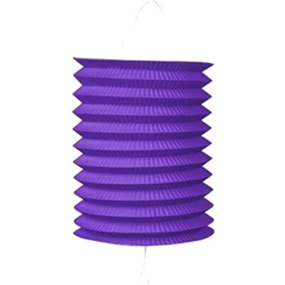Carpeta Zuglaternen en papier comme décoration pour anniversaire, fête et garden-party Ø 16 cm, hauteur 20 cm, avec anse en métal Lanterne en papier, lampion, décoration de fête, couleur : violet - Publicité Carpeta Zuglaternen en papier comme décoration pour anniversaire, fête et garden-party Ø 16 cm, hauteur 20 cm, avec anse en métal Lanterne en papier, lampion, décoration de fête, couleur : violet - Publicité