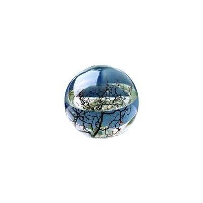 EcoSphere Boule avec crevettes KaRoFoilFix - Publicité EcoSphere Boule avec crevettes KaRoFoilFix - Publicité