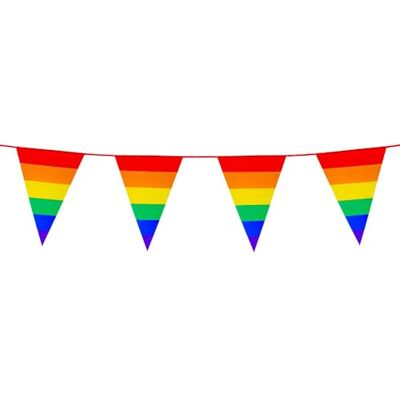 Boland Guirlande fanion arc en ciel 10 m Multicolore Taille Unique - Publicité Boland Guirlande fanion arc en ciel 10 m Multicolore Taille Unique - Publicité
