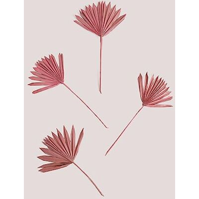 SKLUM Lot de 4 Branches séchées décoratives Urpek Rose Peonia - Publicité SKLUM Lot de 4 Branches séchées décoratives Urpek Rose Peonia - Publicité