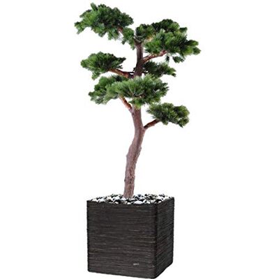 Artificielles.com Bonsaï Pin Artificiel H 220 cm D 120 cm en Pot Anti-UV dimhaut: H 220 cm Couleur: Vert Div: Anti UV - Publicité Artificielles.com Bonsaï Pin Artificiel H 220 cm D 120 cm en Pot Anti-UV dimhaut: H 220 cm Couleur: Vert Div: Anti UV - Publicité