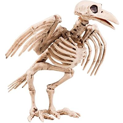 Boland 72093 – Figurine de corbeau Squelette, et autres Jouets - Publicité Boland 72093 – Figurine de corbeau Squelette, et autres Jouets - Publicité