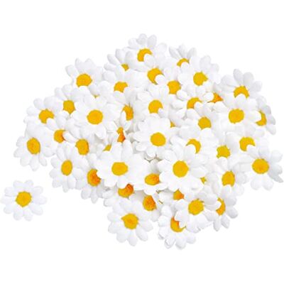 VBS Fleurs de marguerite , 50 pc. Publicité VBS Fleurs de marguerite , 50 pc. Publicité