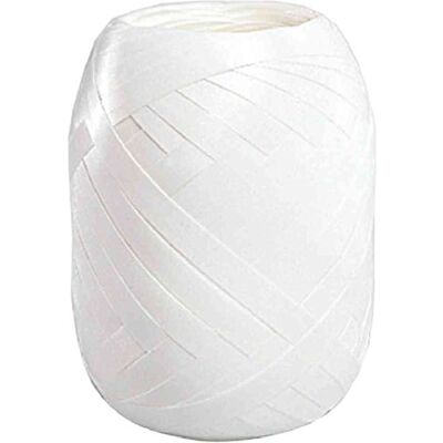 SUSY CARD Ruban Bolduc en pelote lisse 5 mm x 20 m Blanc - Publicité SUSY CARD Ruban Bolduc en pelote lisse 5 mm x 20 m Blanc - Publicité