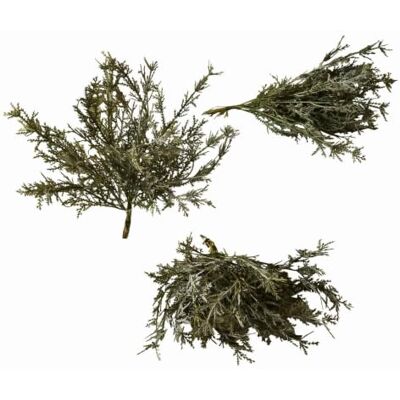 Loberon Emmet Lot de 3 Plantes décoratives Bruyère décorative au Look Authentique Reproduction très réaliste, Vert - Publicité Loberon Emmet Lot de 3 Plantes décoratives Bruyère décorative au Look Authentique Reproduction très réaliste, Vert - Publicité