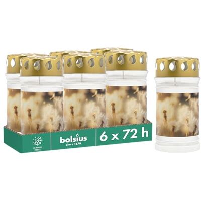 Bolsius Lanterne funéraire Avec motif Pissenlit Lot de 6 Longueur de combustion : 3 jours Bougie de condoléances et mémorial Combustion propre Sans huile de palme - Publicité Bolsius Lanterne funéraire Avec motif Pissenlit Lot de 6 Longueur de combustion : 3 jours Bougie de condoléances et mémorial Combustion propre Sans huile de palme - Publicité