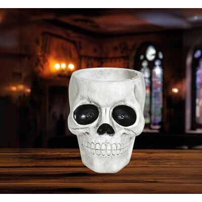 FIESTAS GUIRCA Bol crâne en polyrésine (15 x 12 cm) Décoration d'Halloween et de fêtes effrayantes Idéal pour accessoires de squelettes et célébrations terrifiantes Blanc - Publicité FIESTAS GUIRCA Bol crâne en polyrésine (15 x 12 cm) Décoration d'Halloween et de fêtes effrayantes Idéal pour accessoires de squelettes et célébrations terrifiantes Blanc - Publicité