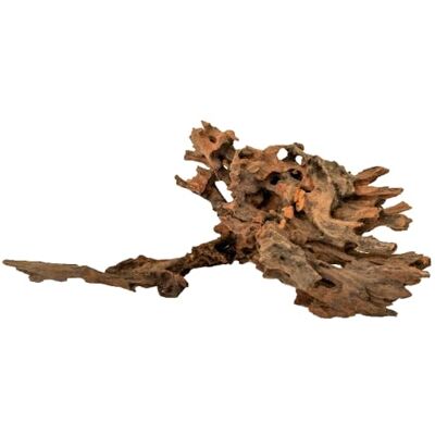 Amtra Bois Honeycomb Taille M 30-50 cm Décoration en Bois Naturel pour Aquariums Tronc Naturel ornemental Accessoire décor décoratif pour Terrari - Publicité Amtra Bois Honeycomb Taille M 30-50 cm Décoration en Bois Naturel pour Aquariums Tronc Naturel ornemental Accessoire décor décoratif pour Terrari - Publicité