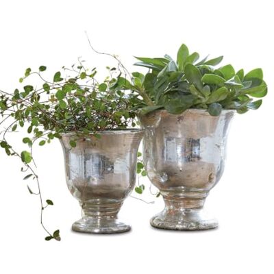 Loberon Banon Lot de 2 Cache-Pots Élégante Forme de Calice Superbe revêtement, argenté Vieilli - Publicité Loberon Banon Lot de 2 Cache-Pots Élégante Forme de Calice Superbe revêtement, argenté Vieilli - Publicité