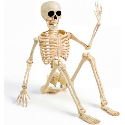 JOYIN Squelettes articulés d'halloween de 91 cm, squelettes en Plastique avec articulations Mobiles, décorations d'halloween pour la Maison, Le Jardin, Le cimetière, la Maison hantée - Publicité JOYIN Squelettes articulés d'halloween de 91 cm, squelettes en Plastique avec articulations Mobiles, décorations d'halloween pour la Maison, Le Jardin, Le cimetière, la Maison hantée - Publicité