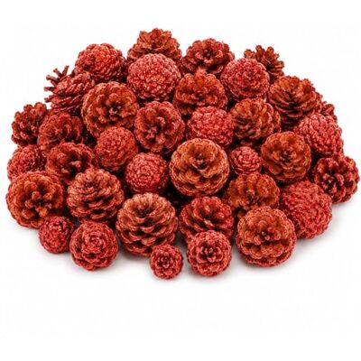 com-four ® Lot de 36 décorations de Noël avec Pommes de pin Rouges cônes naturels pour couronne de l'Avent ambiance forestière hivernale - Publicité com-four ® Lot de 36 décorations de Noël avec Pommes de pin Rouges cônes naturels pour couronne de l'Avent ambiance forestière hivernale - Publicité