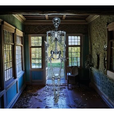 FIESTAS GUIRCA Squelette argenté (90 cm) Décoration d'Halloween pour fêtes et célébrations Idéal pour les environnements terrifiants et sur le thème des crânes et des squelettes Argent - Publicité FIESTAS GUIRCA Squelette argenté (90 cm) Décoration d'Halloween pour fêtes et célébrations Idéal pour les environnements terrifiants et sur le thème des crânes et des squelettes Argent - Publicité