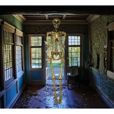 FIESTAS GUIRCA Squelette doré (90 cm) Décoration d'Halloween pour fêtes et célébrations Idéal pour les environnements terrifiants et sur le thème des crânes et des squelettes Or - Publicité FIESTAS GUIRCA Squelette doré (90 cm) Décoration d'Halloween pour fêtes et célébrations Idéal pour les environnements terrifiants et sur le thème des crânes et des squelettes Or - Publicité