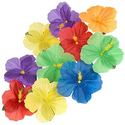 Boland 52513 – Lot de 24 décorations florales Hibiscus Hawaii, multicolore - Publicité Boland 52513 – Lot de 24 décorations florales Hibiscus Hawaii, multicolore - Publicité