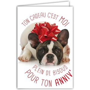 AFIE 69-6204 Carte Bon Anniversaire Humoristique avec Enveloppe Illustrée format 17,5x12cm Chien Drôle Amusant Rigolo Déguisé en cadeau avec un nœud en ruban sur la tête Création Fabrication française - Publicité AFIE 69-6204 Carte Bon Anniversaire Humoristique avec Enveloppe Illustrée format 17,5x12cm Chien Drôle Amusant Rigolo Déguisé en cadeau avec un nœud en ruban sur la tête Création Fabrication française - Publicité