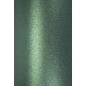 Netuno 10x papier cartonné vert nacré A5 148 x 210 mm 250g Majestic Gardeners Green papier cartonné brillant effet métallisé perlé pour mariage DIY cartes de vœux marque-places cartes de visite - Publicité Netuno 10x papier cartonné vert nacré A5 148 x 210 mm 250g Majestic Gardeners Green papier cartonné brillant effet métallisé perlé pour mariage DIY cartes de vœux marque-places cartes de visite - Publicité