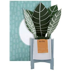 Hallmark Carte pop-up – Motif zèbre contemporain - Publicité Hallmark Carte pop-up – Motif zèbre contemporain - Publicité