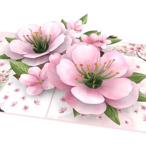 MOKIO ® Carte Fleur Pop-Up – Fleurs de Cerisier Japonais – Carte cadeau 3D pour un anniversaire ou comme bon cadeau, Sakura Arbre Carte de vœux - Publicité MOKIO ® Carte Fleur Pop-Up – Fleurs de Cerisier Japonais – Carte cadeau 3D pour un anniversaire ou comme bon cadeau, Sakura Arbre Carte de vœux - Publicité