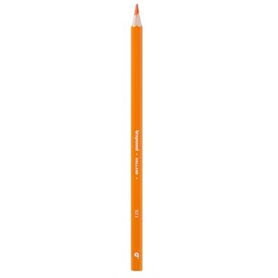 BRUYNZEEL Lot de 12 crayons de couleur orange 3,3 mm d'épaisseur résistants à la casse avec un bon transfert de couleur - Publicité BRUYNZEEL Lot de 12 crayons de couleur orange 3,3 mm d'épaisseur résistants à la casse avec un bon transfert de couleur - Publicité