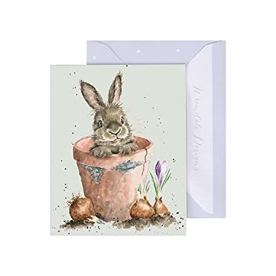 Wrendale Designs Wrendale GE121 Carte de vœux double avec enveloppe Mini carte rien que pour toi, motif de lapin, Flower Pot Bunny, 7,5 x 9 cm, vert - Publicité Wrendale Designs Wrendale GE121 Carte de vœux double avec enveloppe Mini carte rien que pour toi, motif de lapin, Flower Pot Bunny, 7,5 x 9 cm, vert - Publicité