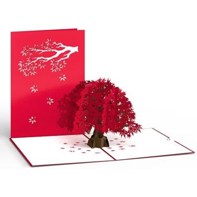 Lovepop Carte pop-up en érable japonais, carte d'arbre, carte de nature, cartes 3D, carte de feuillage - Publicité Lovepop Carte pop-up en érable japonais, carte d'arbre, carte de nature, cartes 3D, carte de feuillage - Publicité
